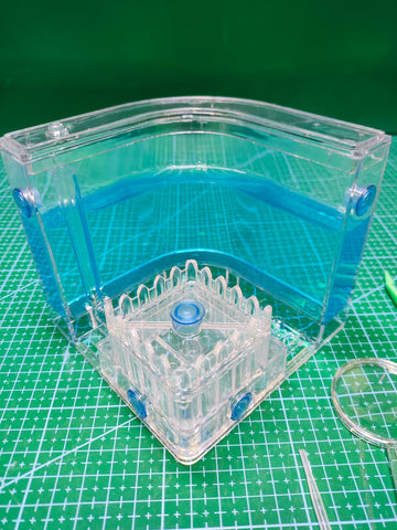 Ant Farm Castle Observation Habitat - No Live Ants Included - detail photo